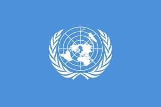 Швейцарец, Налоговый комитет ООН