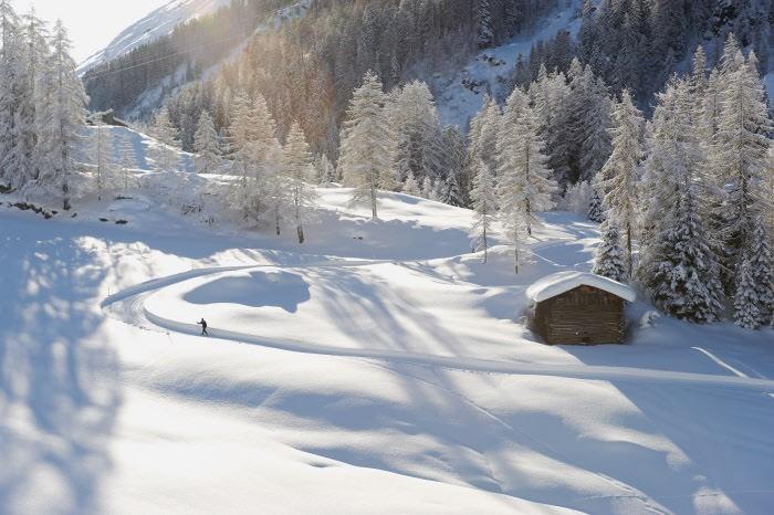 Снежному сезону в Швейцарии быть!  Снежному сезону в Швейцарии быть! davos zima
