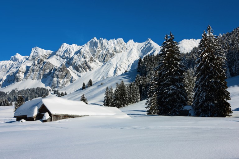 Рассмотрите фото швейцарских альп отметьте
