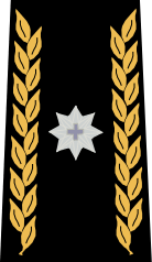 Бригадный генерал армия Швейцарии