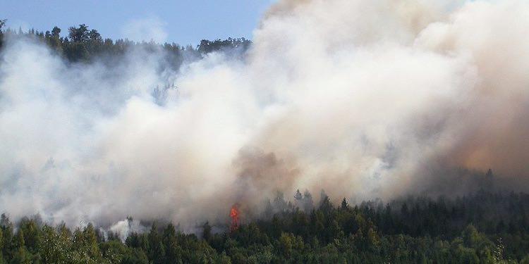 угроза лесных пожаров