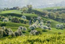 швейцария фото хорошего качества. Смотреть фото швейцария фото хорошего качества. Смотреть картинку швейцария фото хорошего качества. Картинка про швейцария фото хорошего качества. Фото швейцария фото хорошего качества