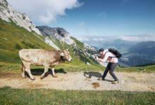 швейцарцы деревня