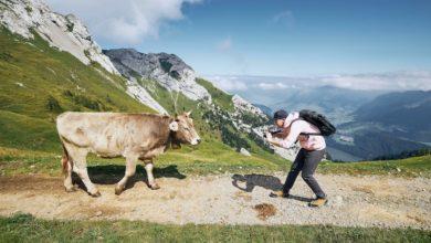 швейцарцы деревня