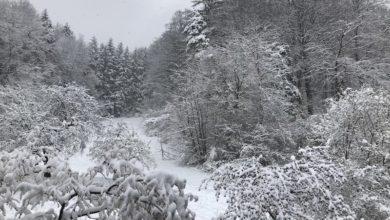 снег в апреле в Швейцарии